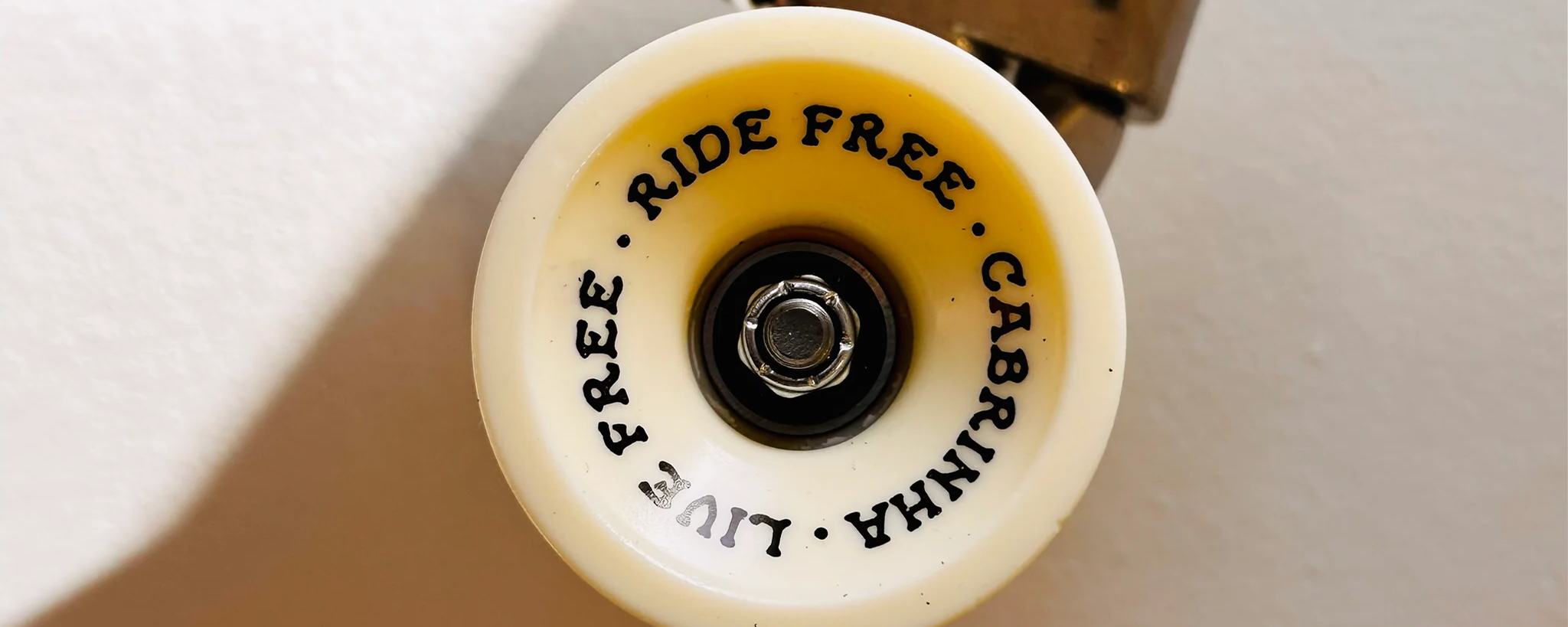 SKATEBOARDS – Adventure Sports USA