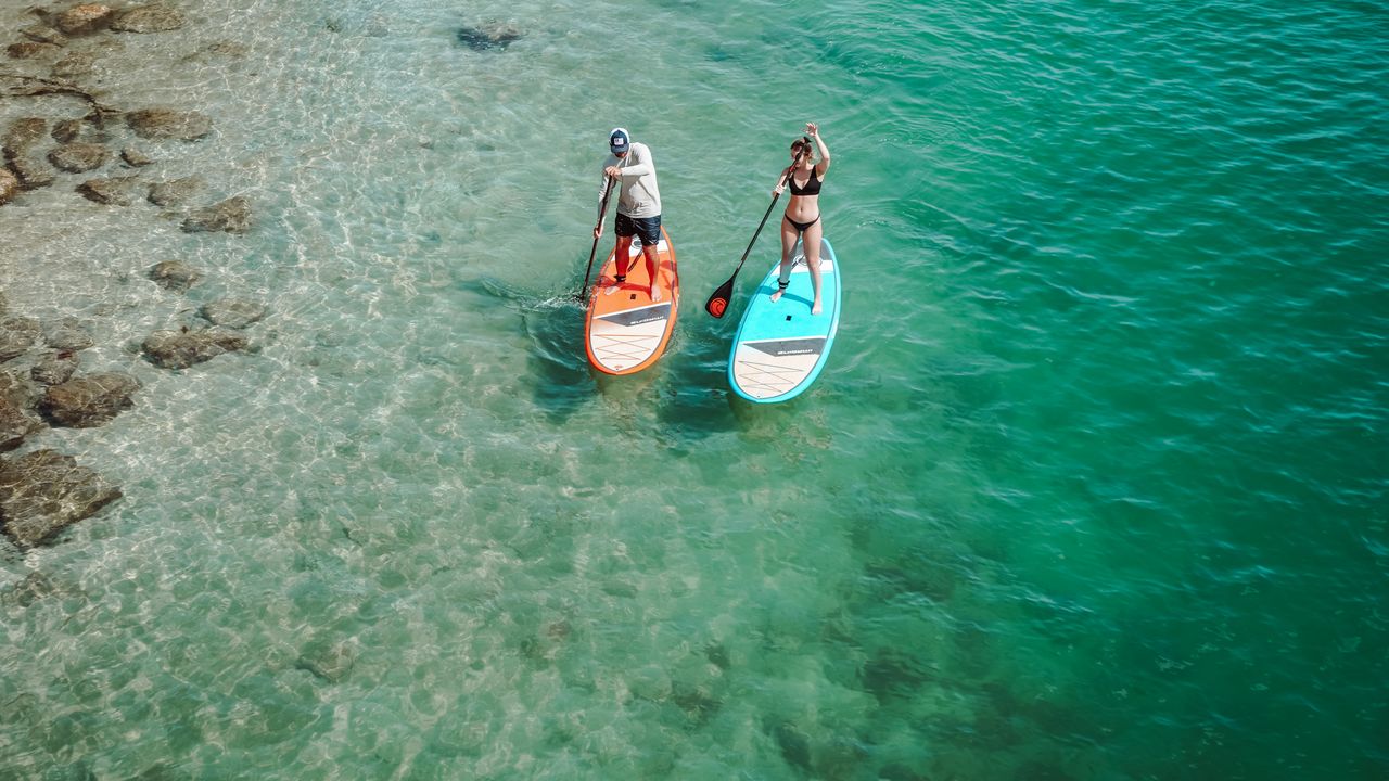 Paddle Boards