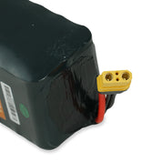 ASSIST PLUS 12.6AH STANDARD BATTERY