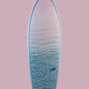 Sharky Shoreline - Ben Hicks