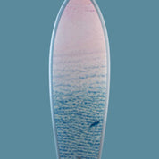 Sharky Shoreline - Ben Hicks