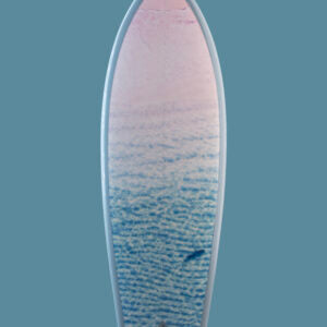 Sharky Shoreline - Ben Hicks