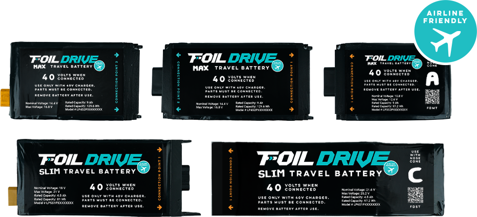 ASSIST MAX TRAVEL BATTERY